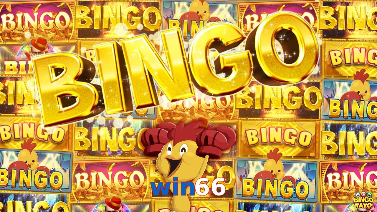 win66