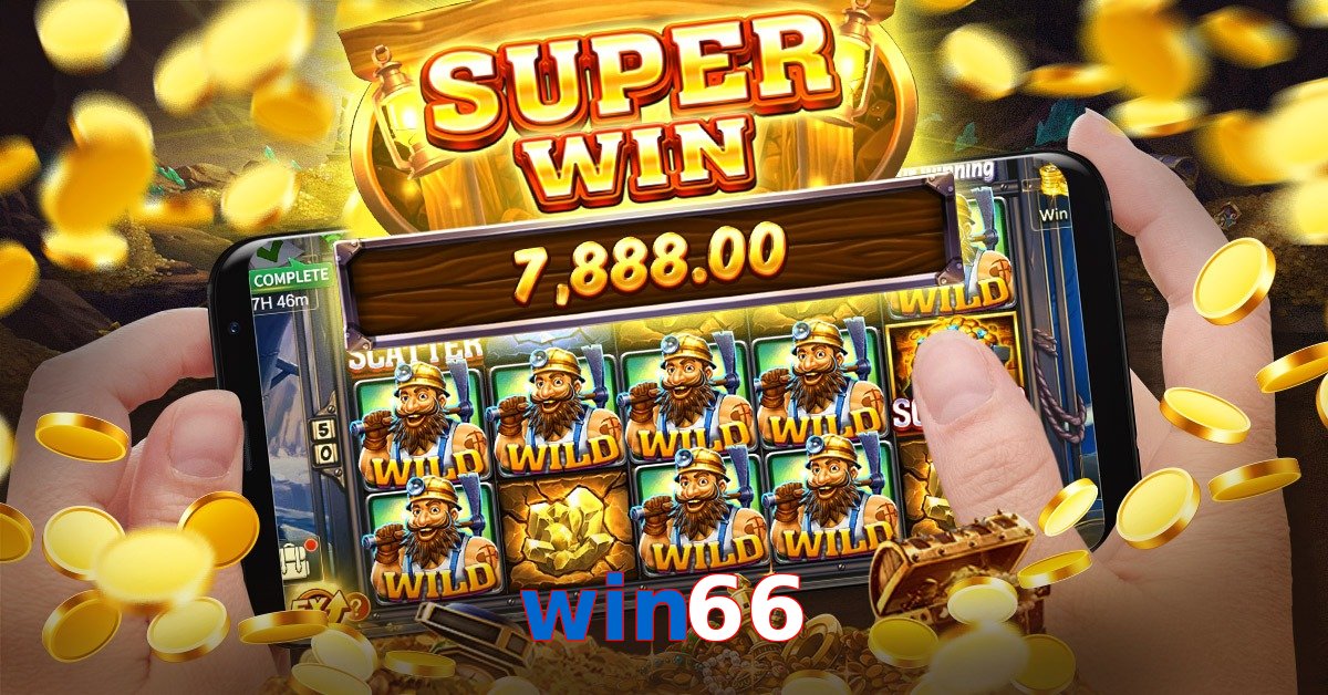 win66