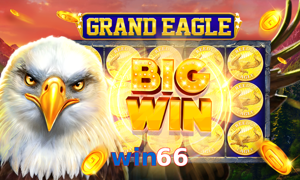 win66