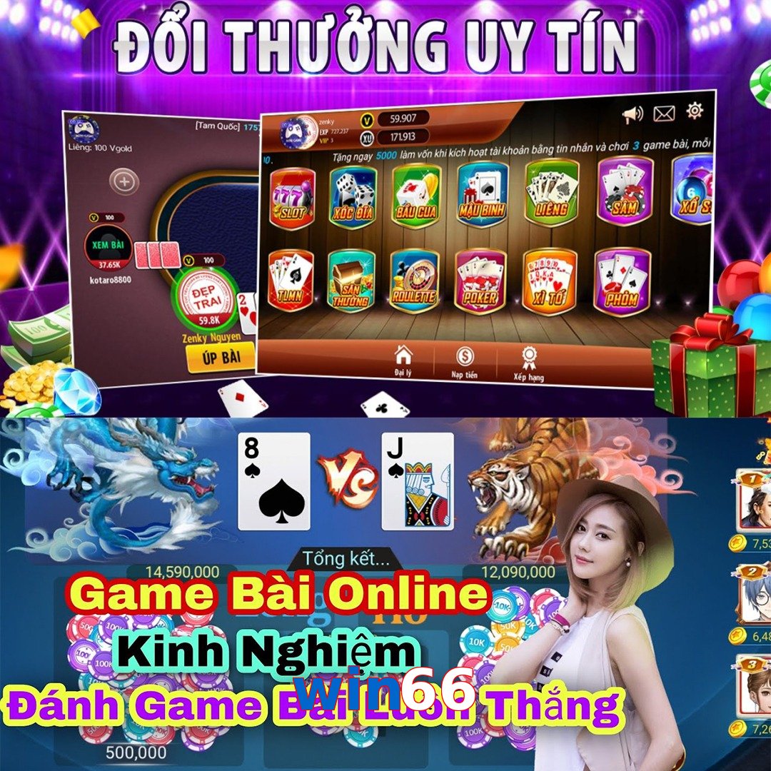 win66