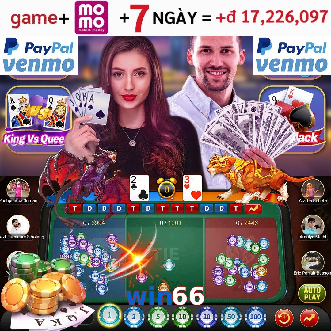 win66