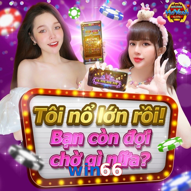 win66