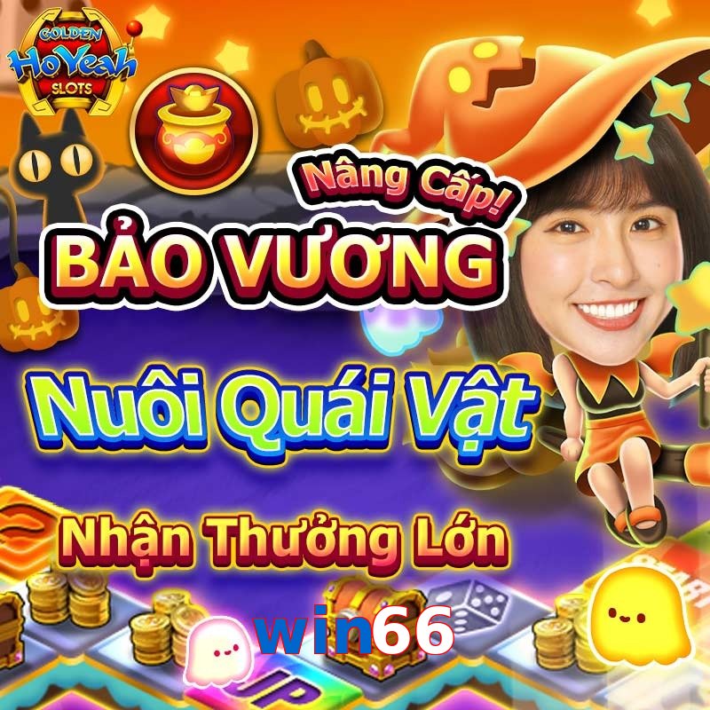 win66