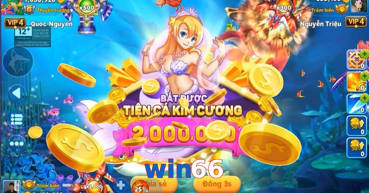 win66