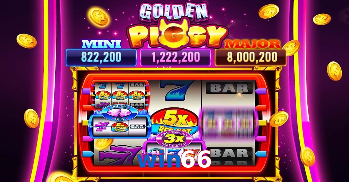 win66