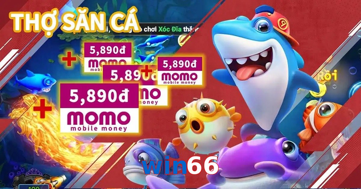 win66