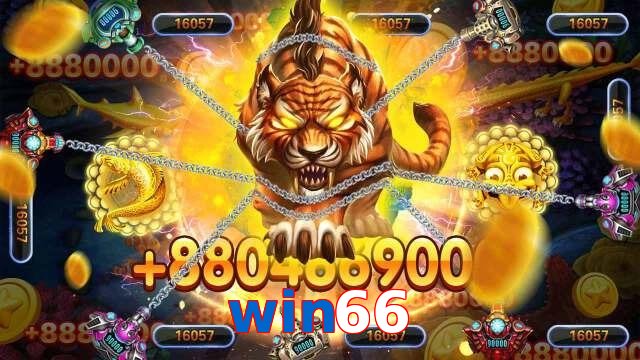 win66