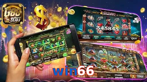 win66
