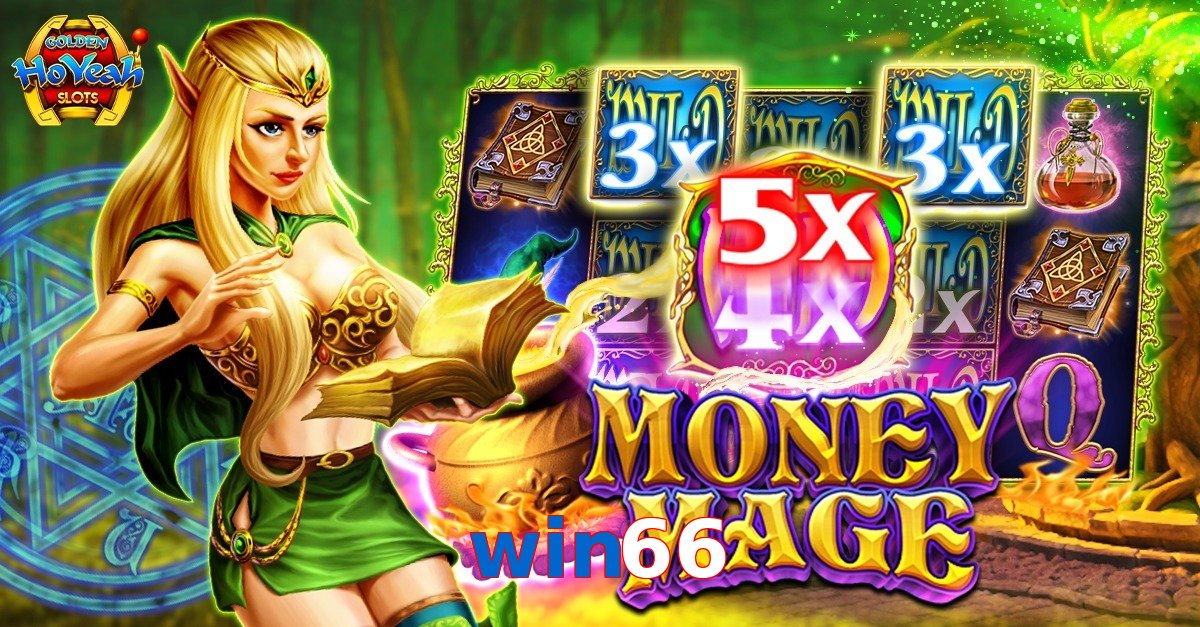 win66