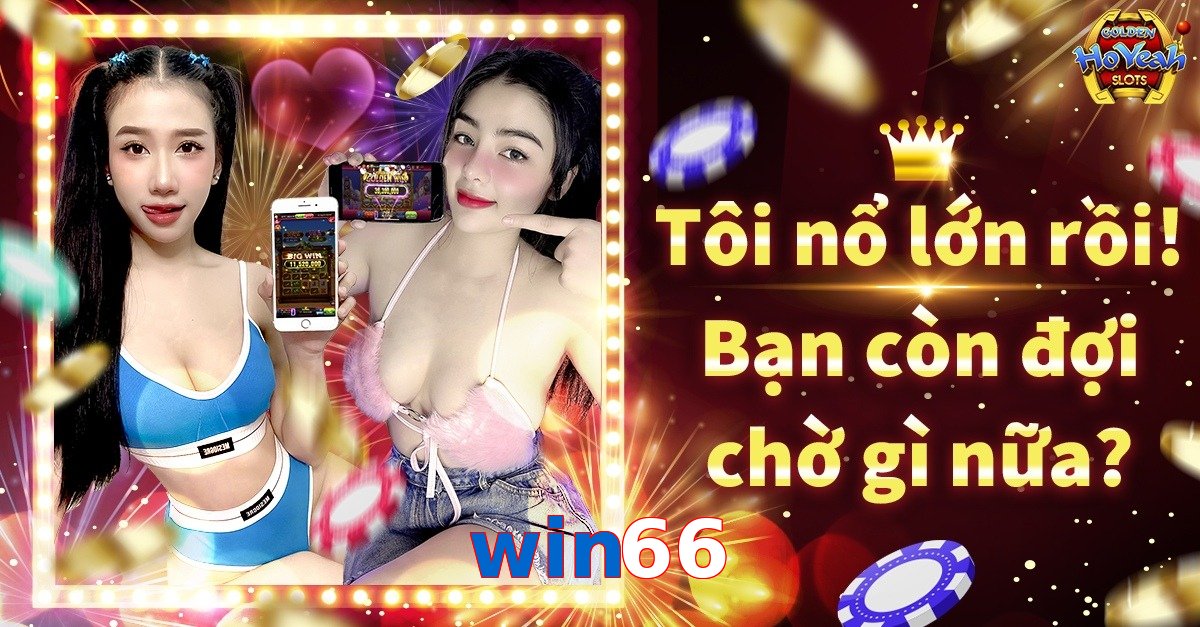 win66