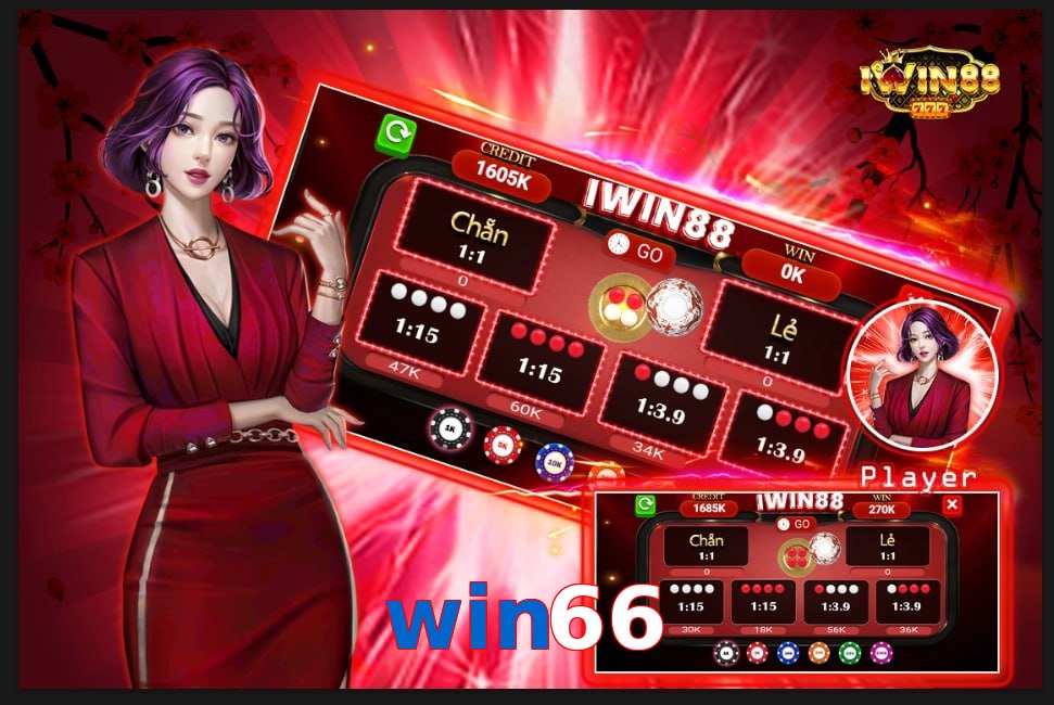 win66
