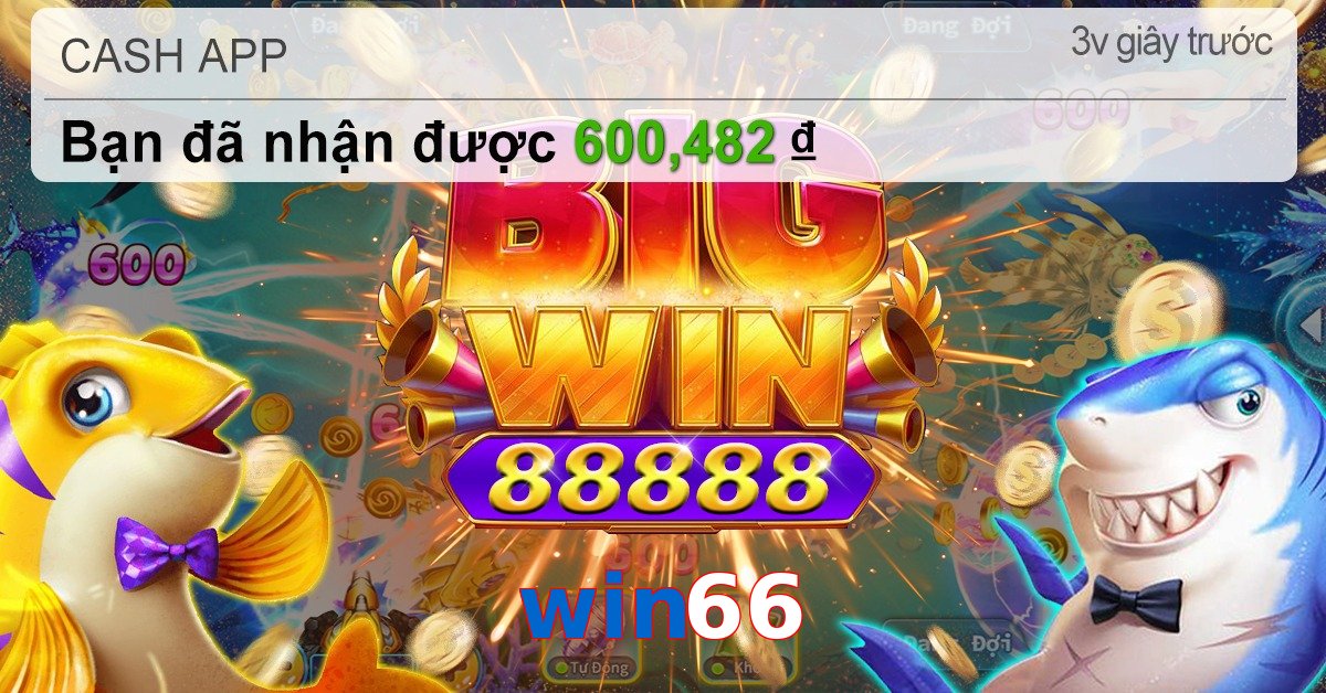 win66