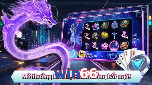win66