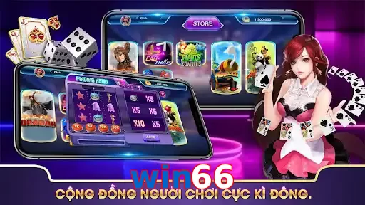 win66
