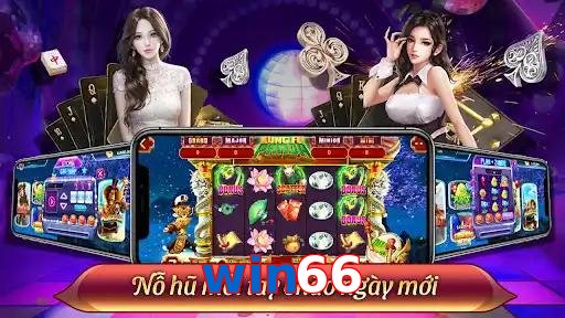 win66