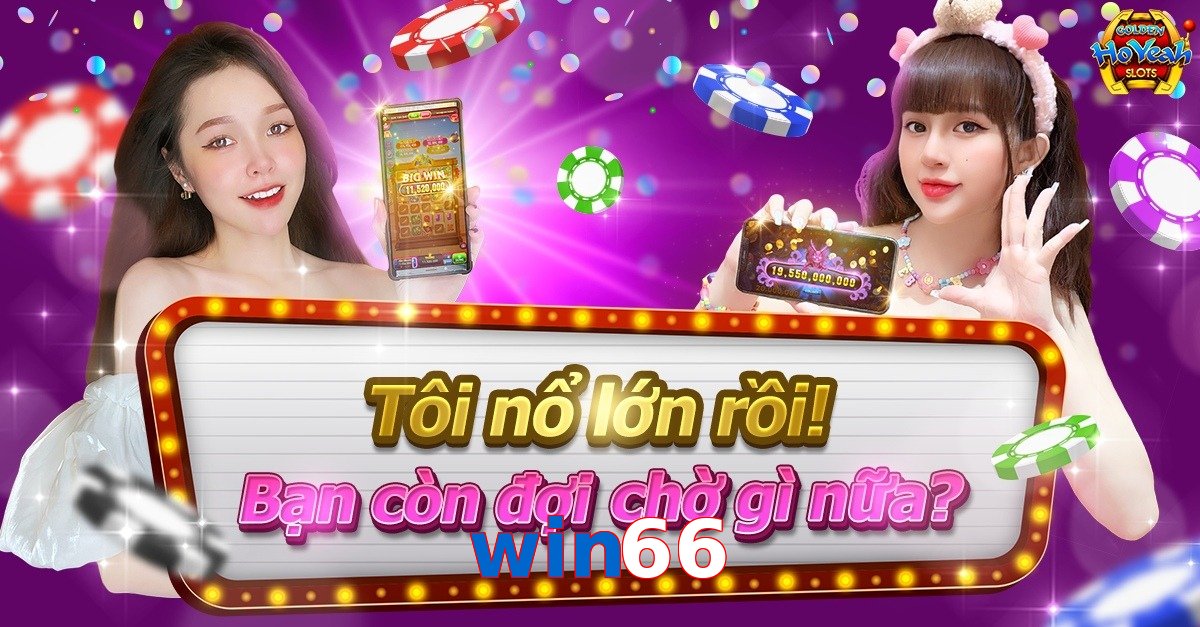 win66