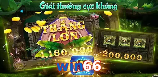 win66