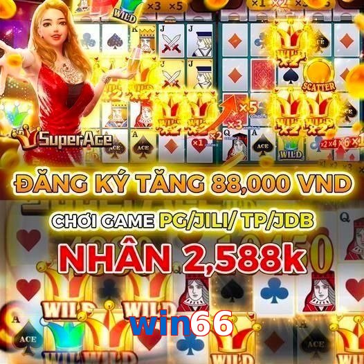 win66