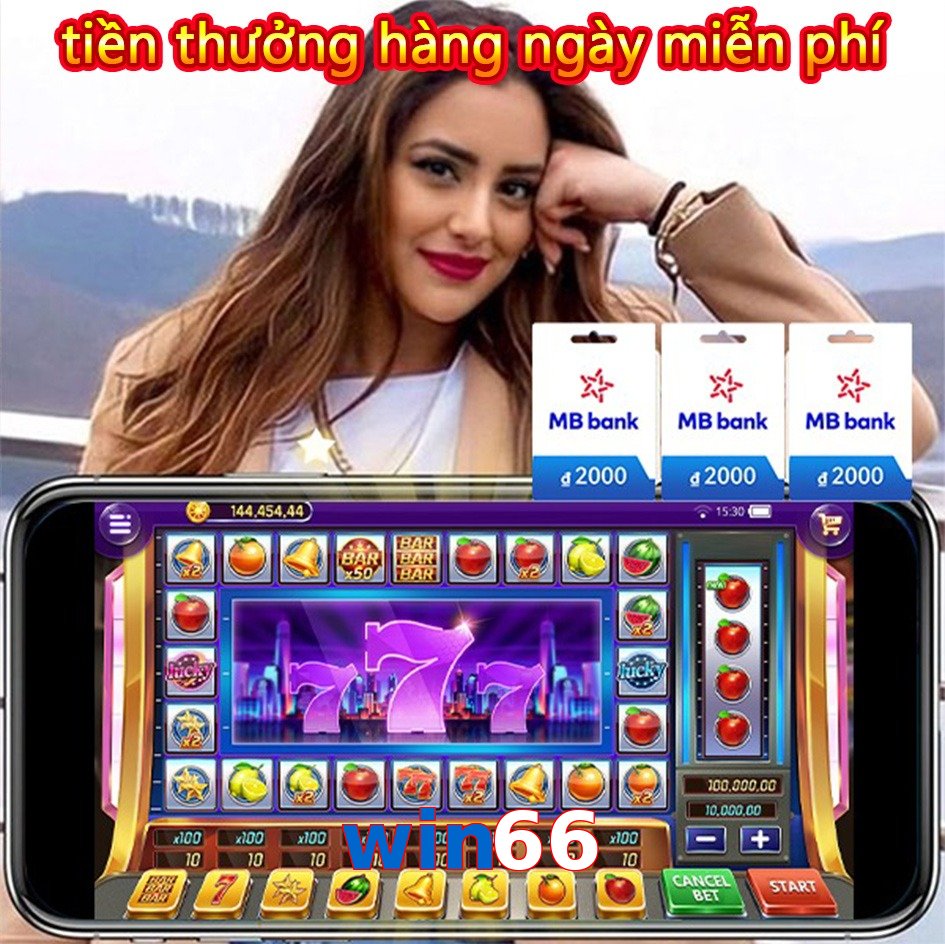 win66